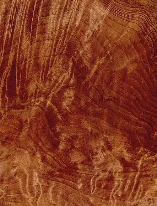 Redwood Qlt 3 texture preview