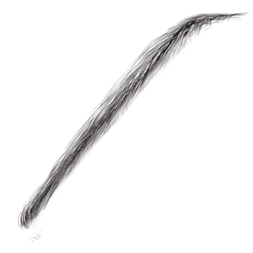 Eyebrow005 main texture preview