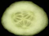 S S Cuke2 main texture preview