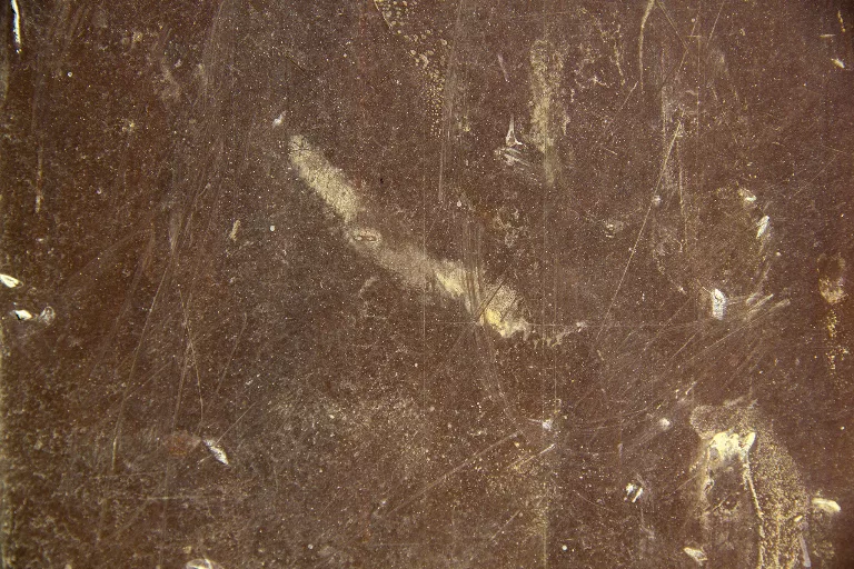 31 main texture preview