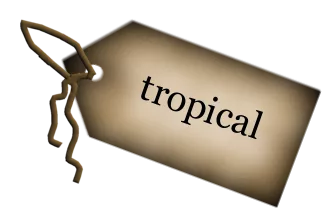 Tag Tropical main texture preview
