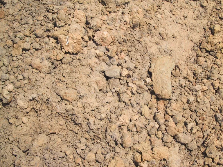 Mudrock main texture preview