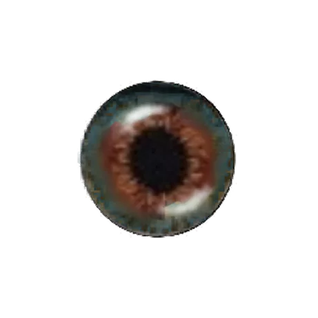 Eye Meadow main texture preview