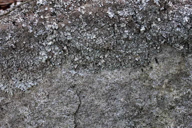 Img 0113 main texture preview