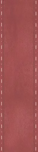 Red Leather Strap 3 main texture preview