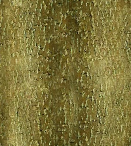 Normal 018Bois main texture preview