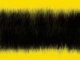 S S Beestrip main texture preview