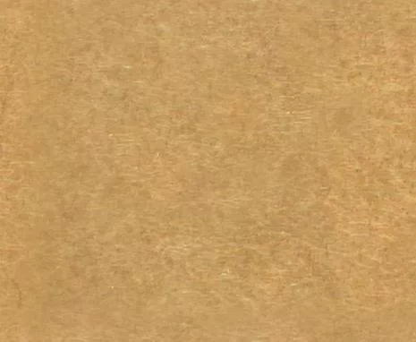 Brnbag T main texture preview