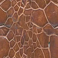 Turtle 1 main texture preview