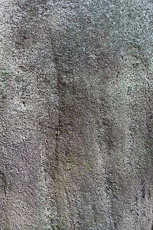 S S Img 0276 main texture preview