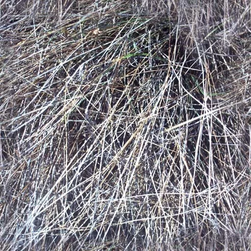 Nature012 main texture preview