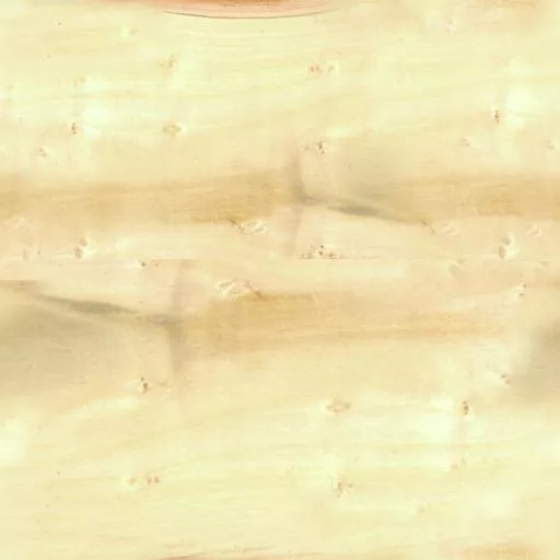 089Saule main texture preview