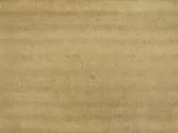 S S Crdbrd T main texture preview