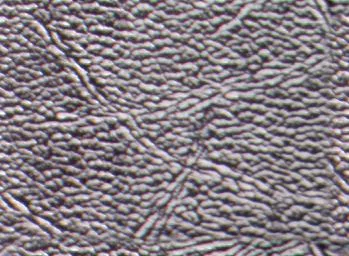 Bump Peau main texture preview
