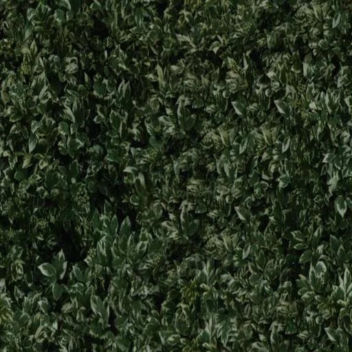 Nature089 main texture preview
