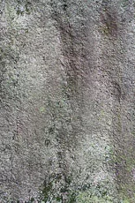 S S Img 0273 main texture preview