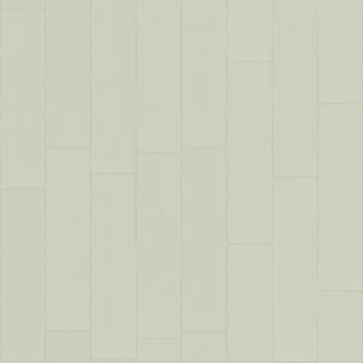 Torley Com Pale Green Boarding Png By The One And Only Torley (Cc By) main texture preview