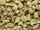 S S Wheaty T main texture preview