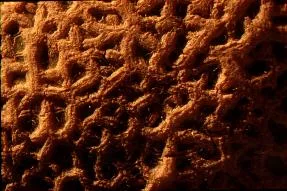 Cantalop main texture preview