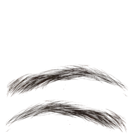 Eyebrow010 main texture preview