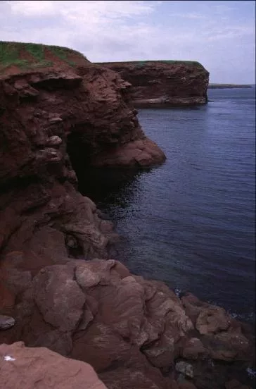 Pei Shor main texture preview