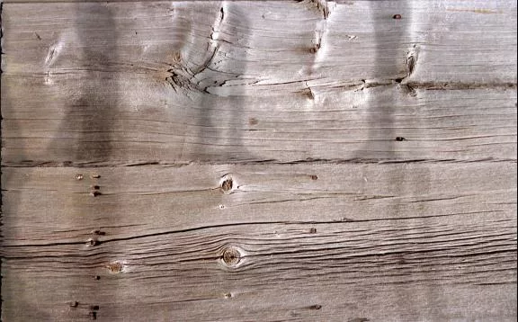 Barnwod1 main texture preview