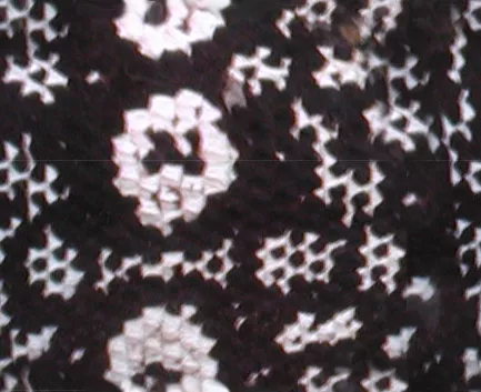 Lizard Cyc main texture preview