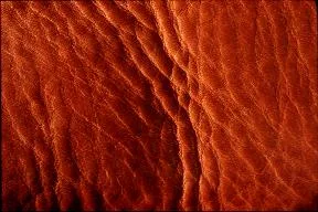 Leather1 main texture preview