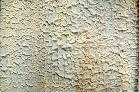 Pelpaint main texture preview