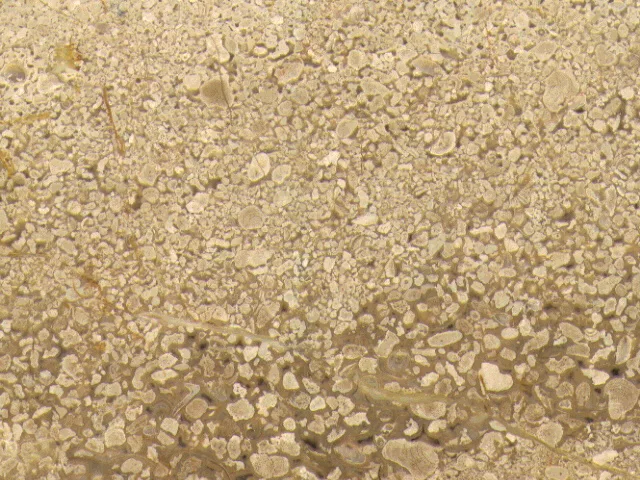 Belmonte main texture preview