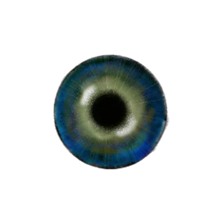 Eye Earth main texture preview