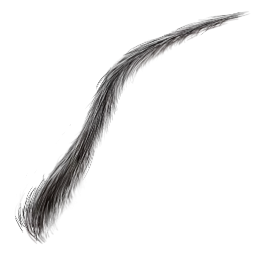 Eyebrow003 main texture preview