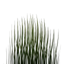Grass Blades main texture preview
