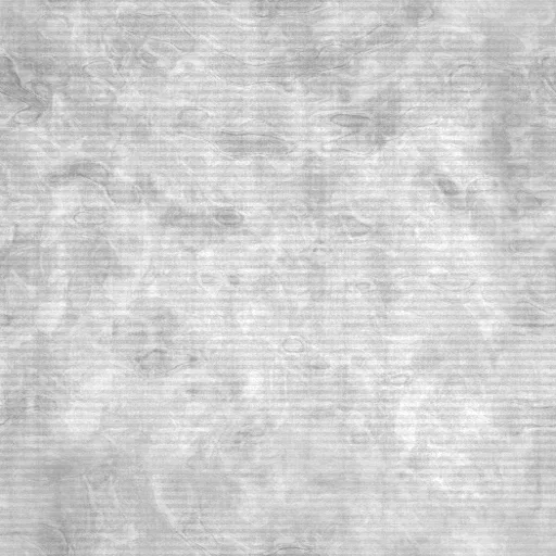 Torley Com [Glass] Bacterian Window Png By The One And Only Torley (Cc By) main texture preview