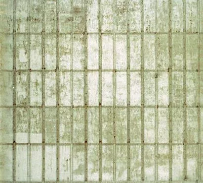 Wall1 T main texture preview