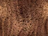 S S Leopard main texture preview
