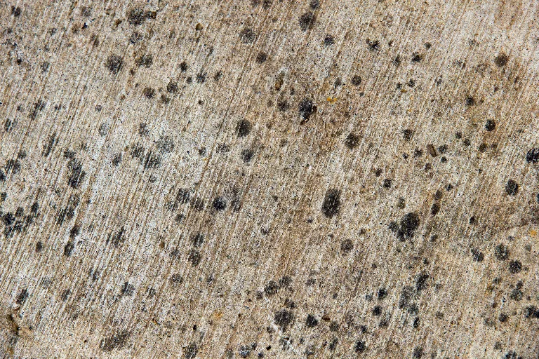 60 main texture preview