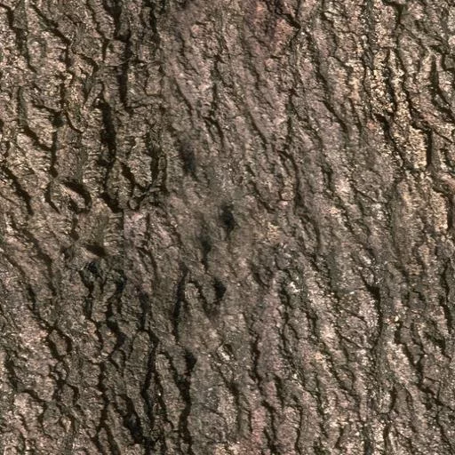 021Bois main texture preview