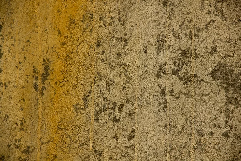 39 main texture preview