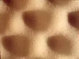 S S Sponge main texture preview