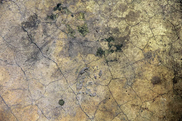 9 main texture preview