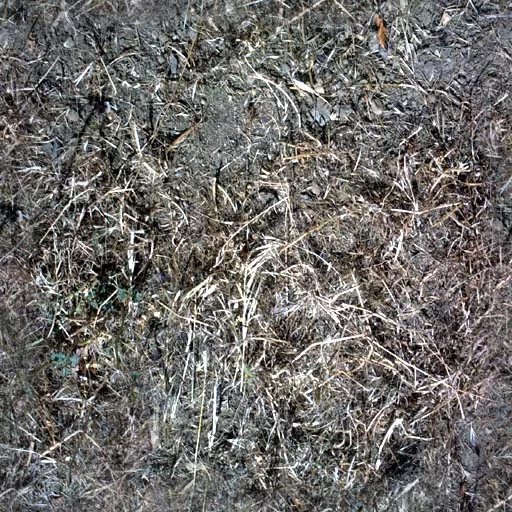 Nature010 main texture preview