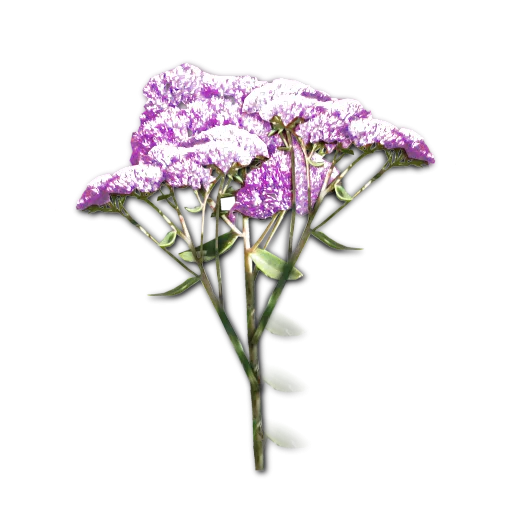 English Garden Flowers Pink texture preview
