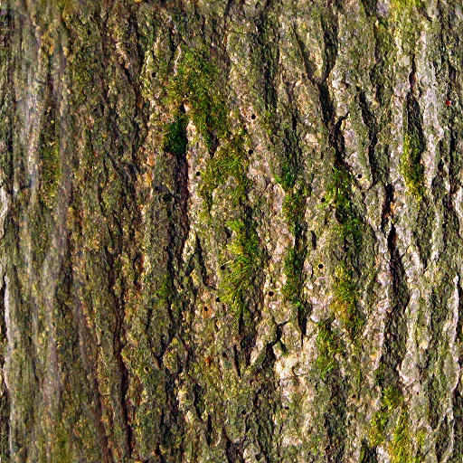 Tree Bark, Seamless 07 main texture preview