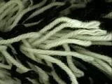 S S Fibers main texture preview