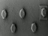 S S Bolts2 main texture preview