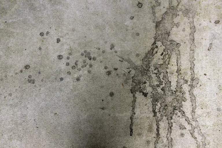 105 main texture preview