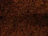 S S Insect main texture preview