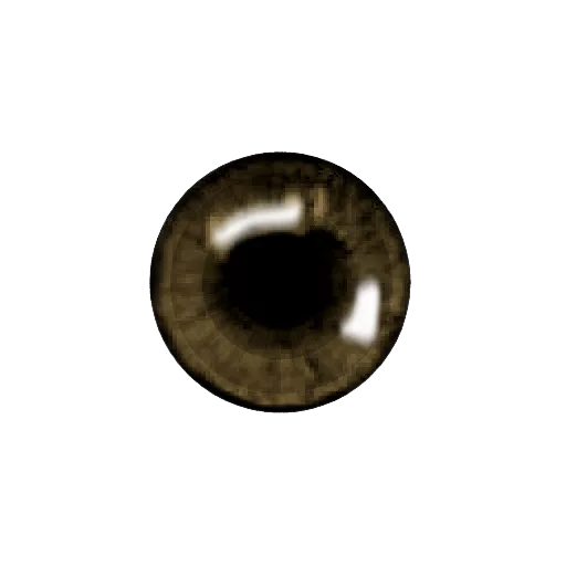 Lk Exclusive Eyes Dark Brown main texture preview