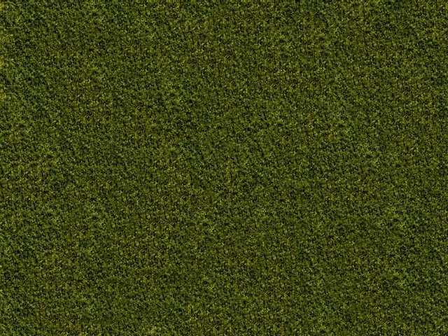 Grassbig main texture preview